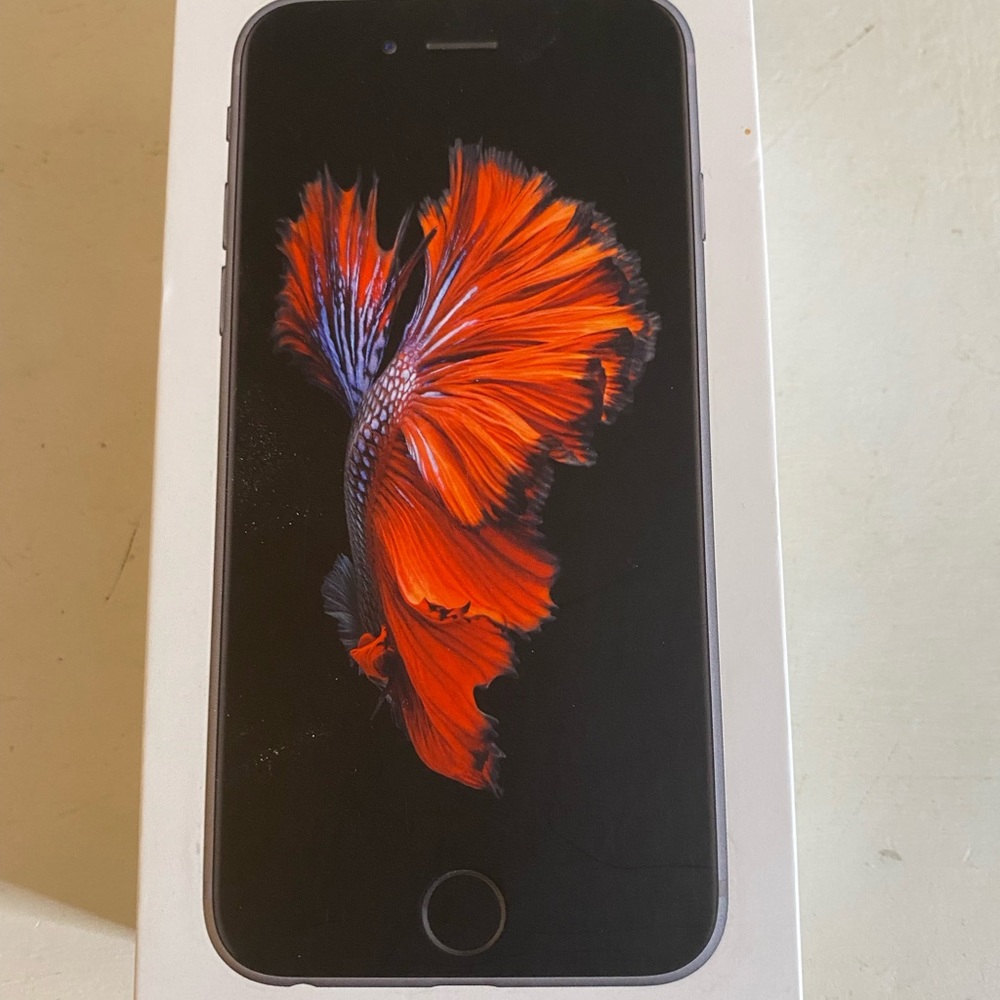 iPhone 6S Box